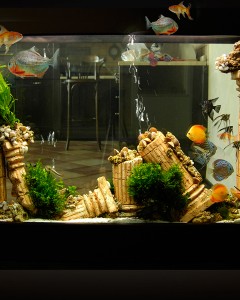 Аква ландшафт "Тадж-Махал" L-13