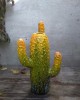Кактус 