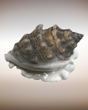 Керамическая морская раковина 