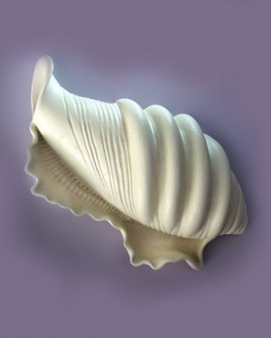 Керамическая морская раковина 