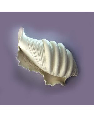 Керамическая морская раковина 