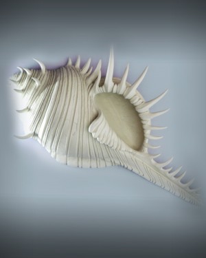 Керамическая морская раковина 