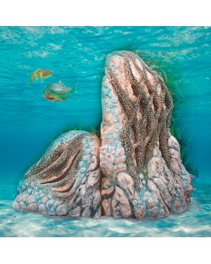 Аква ландшафт "Тадж-Махал" L-13